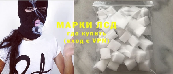 стафф Богданович