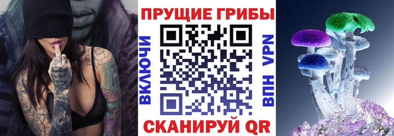 Галлюциногенные грибы Psilocybe  МЕГА ссылка  Гай 