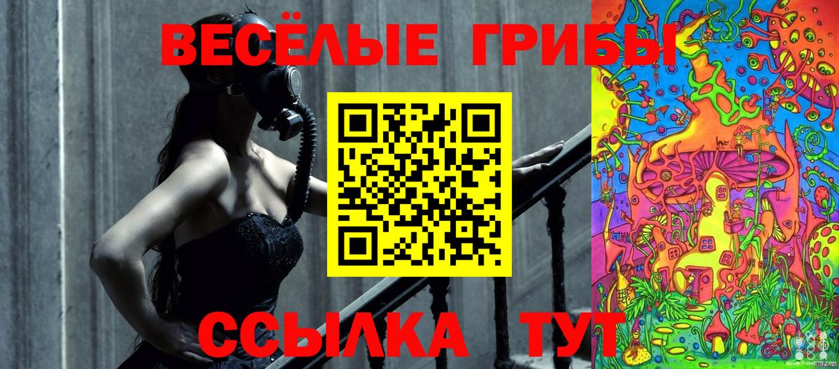 Псилоцибиновые грибы Psilocybe  Галлюциногенные грибы прущие грибы  Гай  Вход с VPN 