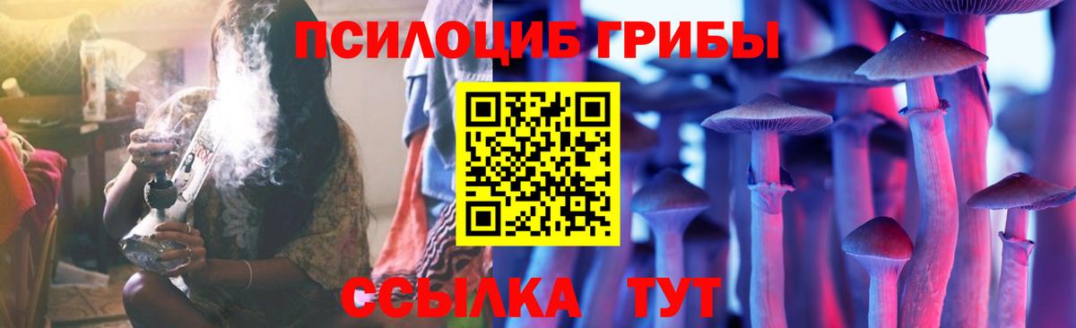 Галлюциногенные грибы Psilocybe Гай