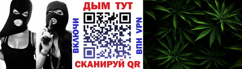 mega онион  Гай  Конопля Bruce Banner  купить закладку 