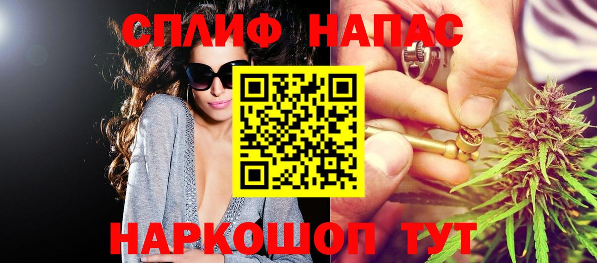 Каннабис сатива Гай